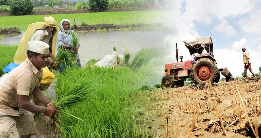 नवीन कृषि अधिनियमों का भारतीय अर्थव्यवस्था पर पडेगा दूरगामी प्रभाव