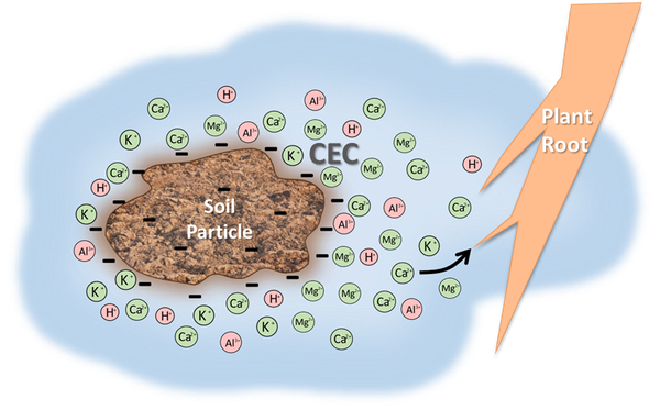 Fertigation in acidic and alkaline soils