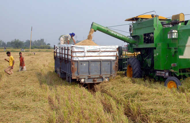 Machinery for In-situ Paddy Straw Management