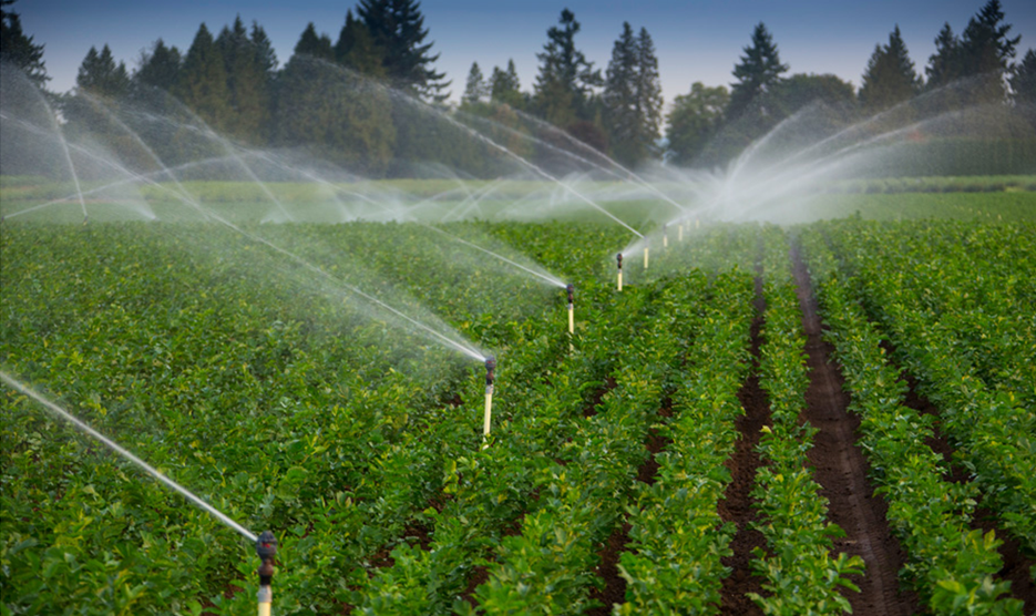 खेती में पानी की उत्पादकता और दक्षता में सुधार के लिए तकनीक