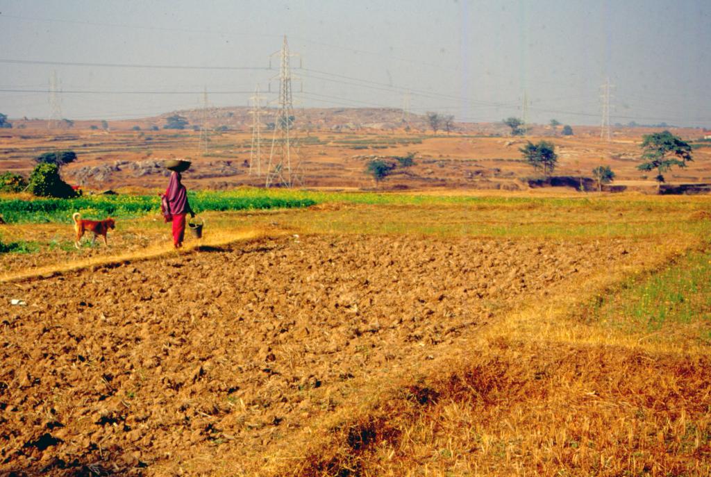 Soil conservation measures for adopting climate change